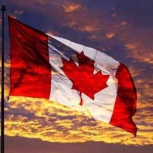 Meet your Posher, Lloyd